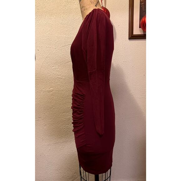 Sarin Mathews Deep V Neck Ruched Long Sleeve Mini Dress Burgandy NWT Size S - Picture 4 of 6